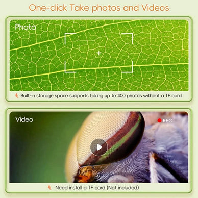 "Unleash Curiosity, Ignite Lifelong Learning"